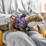 Personalized Emotional Support Soft Otter Stuffed Animal with Name Companionship Birthday Gift for Family Friend