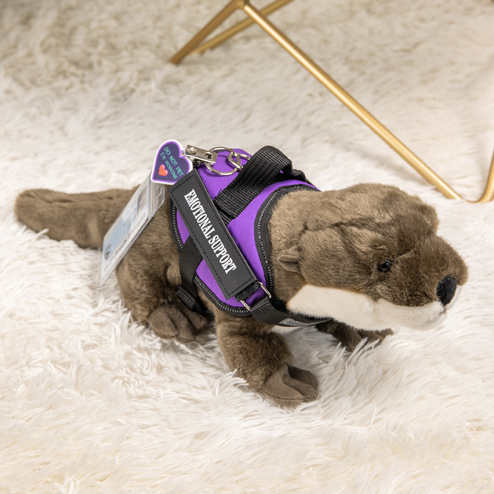 personalised-emotional-support-soft-otter-stuffed-animal-with-name