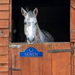Personalised 3D PLA Horse Door Sign