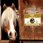 Henkilökohtainen Horse Stall nimi Plate merkki lahja hevosen ystäville