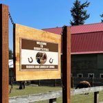 Henkilökohtainen Horse Stall nimi Plate merkki lahja hevosen ystäville