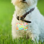 Personalised Flowers Love Heart Pet Tag Dog Tag Cat Tag Resin Iridescent Sequins Pet ID