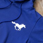 Personalized Horse Print Hoodie Unisex Pullover Sportswear for Adult Kids Equestrian Rider Horse Lover Gift Birthday Gift