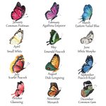 T-Shirt Sweatshirt Personnalisé avec 1-20 Papillons et Noms Cadeau Familial de Fête Anniversaire pour Grand-Mère