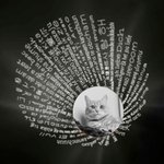 Llavero personalizado con foto de proyección de la huella de la pata de la mascota