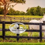 Personalized Barn Cow Calf Chicken Tractor Metal Sign for Farmer