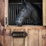 Personalized Retro Wooden Stable Horse Door Engraving Name Plates with Pattern Housewarming Gift for Horse Lovers