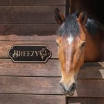 Personalized Retro Wooden Stable Horse Door Engraving Name Plates with Pattern Housewarming Gift for Horse Lovers