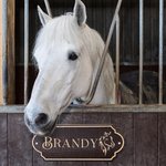 Personalized Retro Wooden Stable Horse Door Engraving Name Plates with Pattern Housewarming Gift for Horse Lovers