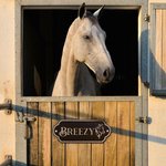 Personalized Retro Wooden Stable Horse Door Engraving Name Plates with Pattern Housewarming Gift for Horse Lovers