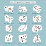 Boîte à Bijoux Personnalisée avec Nom et Motif de Constellation Florale Accessoire Portable Cadeau Anniversaire pour Femme