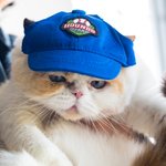 Personalised 2 Pieces Matching Pet and Owner Baseball Cap Sport Hats for Outdoor Sports Dog Dad and Dog Mom Gift