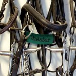 Personalisierte Pferdegebiss Abdeckung mit Namen Pferd Utensilien Pferd Zaumzeug Wärmer Geburtstag Geschenk für Pferdeliebhaber Pferdesport