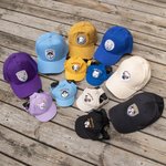 Casquettes de sport personnalisées à la mode pour chiens, parents et enfants, avec sangle ajustable et trous d'oreille