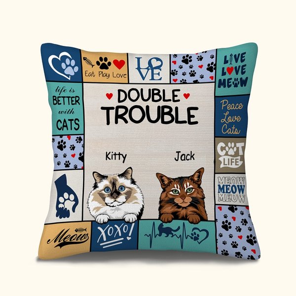 Housse de Coussin Personnalisée avec Nom et Race de Chat Double Trouble Decoration de Maison Cadeau Anniversaire pour Amoureux des Chats