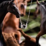 Gepersonaliseerde Micro-gegraveerde Projectie Foto Hoefijzer Diamant Sterling Zilveren Ketting Gift voor Vrouw Verjaardag Verjaardag