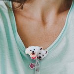 Personalizada Pintura Estilo Pet Retrato Insignia Carrete con Glitter Paw Print Charm para Veterinario Enfermera Pet Lover Regalo