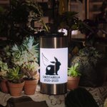 Personalisierte Haustier Hund Katze Solarlampe mit Namen Erinnerung an Verlust eines Tierfreundes Gartendeko Erinnerungsgeschenk für Tierliebhaber