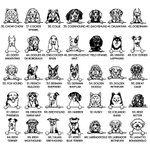 Personalisierte bestickt Hund Sweatshirt oder T-Shirt mit Hundenamen auf Ärmel für Hundemutter Hundeliebhaber Geschenk