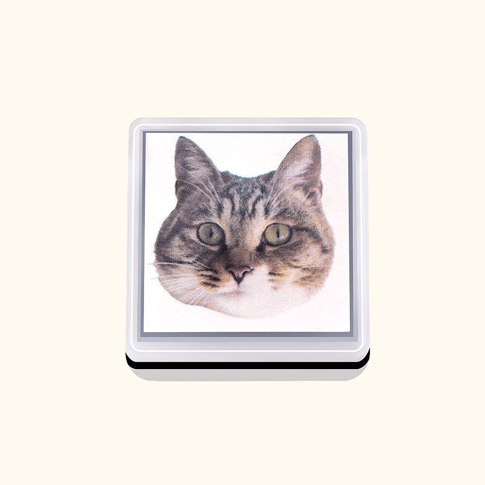Tampon personnalisé portrait d'animaux Chats Chiens Oiseaux Perroquets Tampon animalier Tampon encre pour animaux Cadeau pour les amoureux des animaux