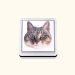 Tampon personnalisé portrait d'animaux Chats Chiens Oiseaux Perroquets Tampon animalier Tampon encre pour animaux Cadeau pour les amoureux des animaux