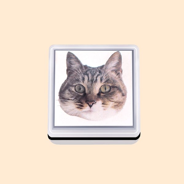 Tampon personnalisé portrait d'animaux Chats Chiens Oiseaux Perroquets Tampon animalier Tampon encre pour animaux Cadeau pour les amoureux des animaux