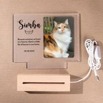 Gepersonaliseerd LED-nachtlampje met houten basis en foto's van huisdieren Sympathie geschenk voor dierenliefhebbers