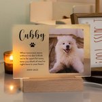 Gepersonaliseerd LED-nachtlampje met houten basis en foto's van huisdieren Sympathie geschenk voor dierenliefhebbers