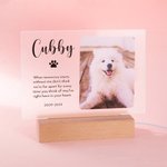Gepersonaliseerd LED-nachtlampje met houten basis en foto's van huisdieren Sympathie geschenk voor dierenliefhebbers