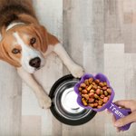 Personalised Paw Shape Dog Food Measuring Cup Scoop 3D Printed Pet Feeding Accessory Gift for Pet Lover Owner