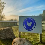 Personalized Wall Art Chicken Coop Farm Coop Metal Sign with Name and Date Farmhouse Decor Gift for Farmer Farm Owner