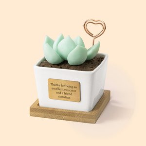 Personalisierte künstliche Sukkulente Topfpflanze Ätherisches Öl Diffusor Lehrer Geschenk Mutter Geschenk Pflanze Killer Geschenk Dekor für Schreibtis