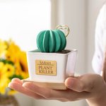 Personalised Artificial Succulent Potted Plant Essential Oil Diffuser Teacher Gift Mom Gift Plant Killer Gift Decor for Desk Office Shelf Bedroom