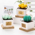 Personalised Artificial Succulent Potted Plant Essential Oil Diffuser Teacher Gift Mom Gift Plant Killer Gift Decor for Desk Office Shelf Bedroom