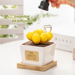 Personalised Artificial Succulent Potted Plant Essential Oil Diffuser Teacher Gift Mom Gift Plant Killer Gift Decor for Desk Office Shelf Bedroom