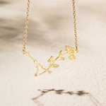 Collier à Personnaliser avec Fleur de Naissance et Constellation Zodiacale Cadeau de Noël et de Saint-Valentin pour Femmes