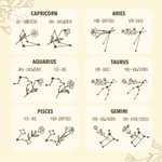 Collier à Personnaliser avec Fleur de Naissance et Constellation Zodiacale Cadeau de Noël et de Saint-Valentin pour Femmes