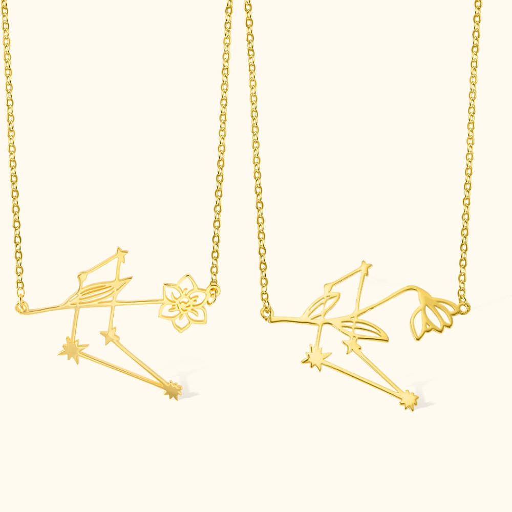 Collier à Personnaliser avec Fleur de Naissance et Constellation Zodiacale Cadeau de Noël et de Saint-Valentin pour Femmes