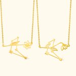 Collier à Personnaliser avec Fleur de Naissance et Constellation Zodiacale Cadeau de Noël et de Saint-Valentin pour Femmes