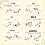 Collier à Personnaliser avec Fleur de Naissance et Constellation Zodiacale Cadeau de Noël et de Saint-Valentin pour Femmes