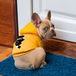 Personalized Dog and Owner Matching Hoodie Multicolor Love Pattern Outfit Pet Sweat Shirt Pet Supplies Dog Lover Gift