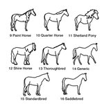 Gepersonaliseerd paard silhouet ketting met naam Animal Memorial ketting paard sieraden verjaardagscadeau voor paardenliefhebbers