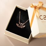 Gepersonaliseerde Leuke Hond Kat Ras Oren Ketting met Naam Verjaardag Verjaardagscadeau voor Hond Kat Huisdier Liefhebbers
