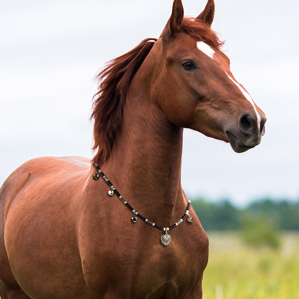 Collier Perles de Rythme Équin Personnalisé avec Texte Gravé Collier Accessoire de Clochettes pour Cheval Cadeau pour Amoureux de Cheval