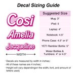 Personalized Holographic Dolly Name Sticker Vinyl Decal Water Resistant Adhesive Label Tumbler Decoration Birthday Christmas Gift for Pink Doll Lover