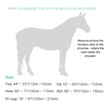 Collar personalizado con campanas y texto grabado Accesorio para caballos Regalo para amantes de los caballos Ecuestre