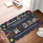 Henkilökohtainen varo lemmikkieläimiä todella innoissaan olet täällä Ovi matto lahja koiran ystäville kissan ystäville Home Essentials