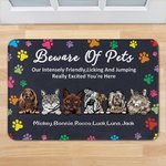 Henkilökohtainen varo lemmikkieläimiä todella innoissaan olet täällä Ovi matto lahja koiran ystäville kissan ystäville Home Essentials