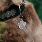 Personalized Glitter Paw Print Pet ID Tag Dog Cat Name Ornament Pet Loss Prevention Essential Gift for Pet Owner
