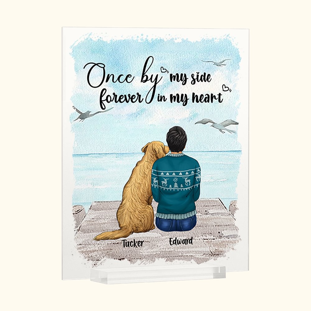 Plaque acrylique colorée personnalisée Dog & Me Décoration d'intérieur Anniversaire Noël Cadeau pour propriétaire d'animal de compagnie